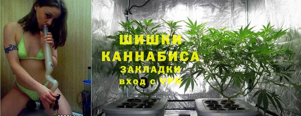 гидра Алексин