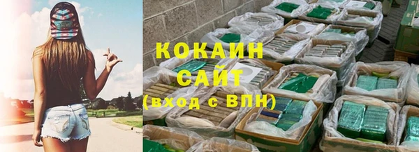 прущие грибы Красноперекопск