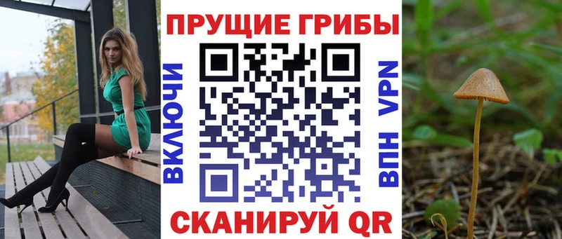 наркотики  Калининск  Галлюциногенные грибы прущие грибы 